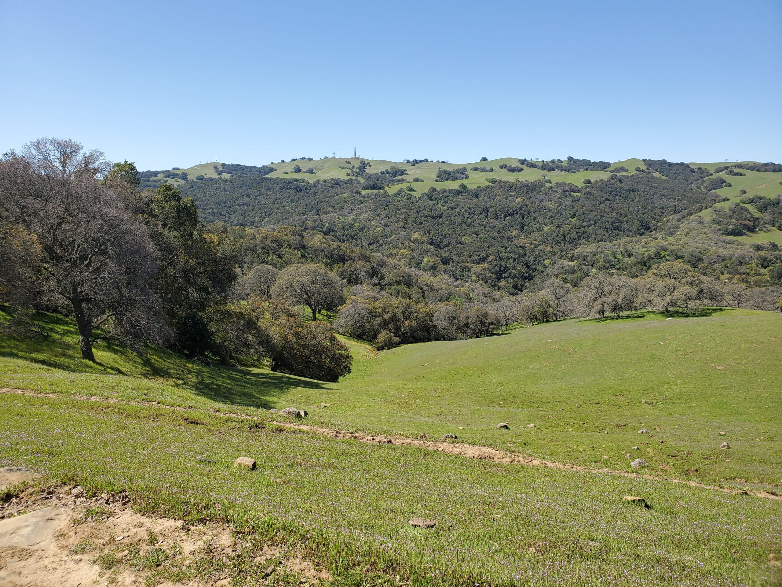 View from the Condor Trail in Morgan Territory Regional Preserve.