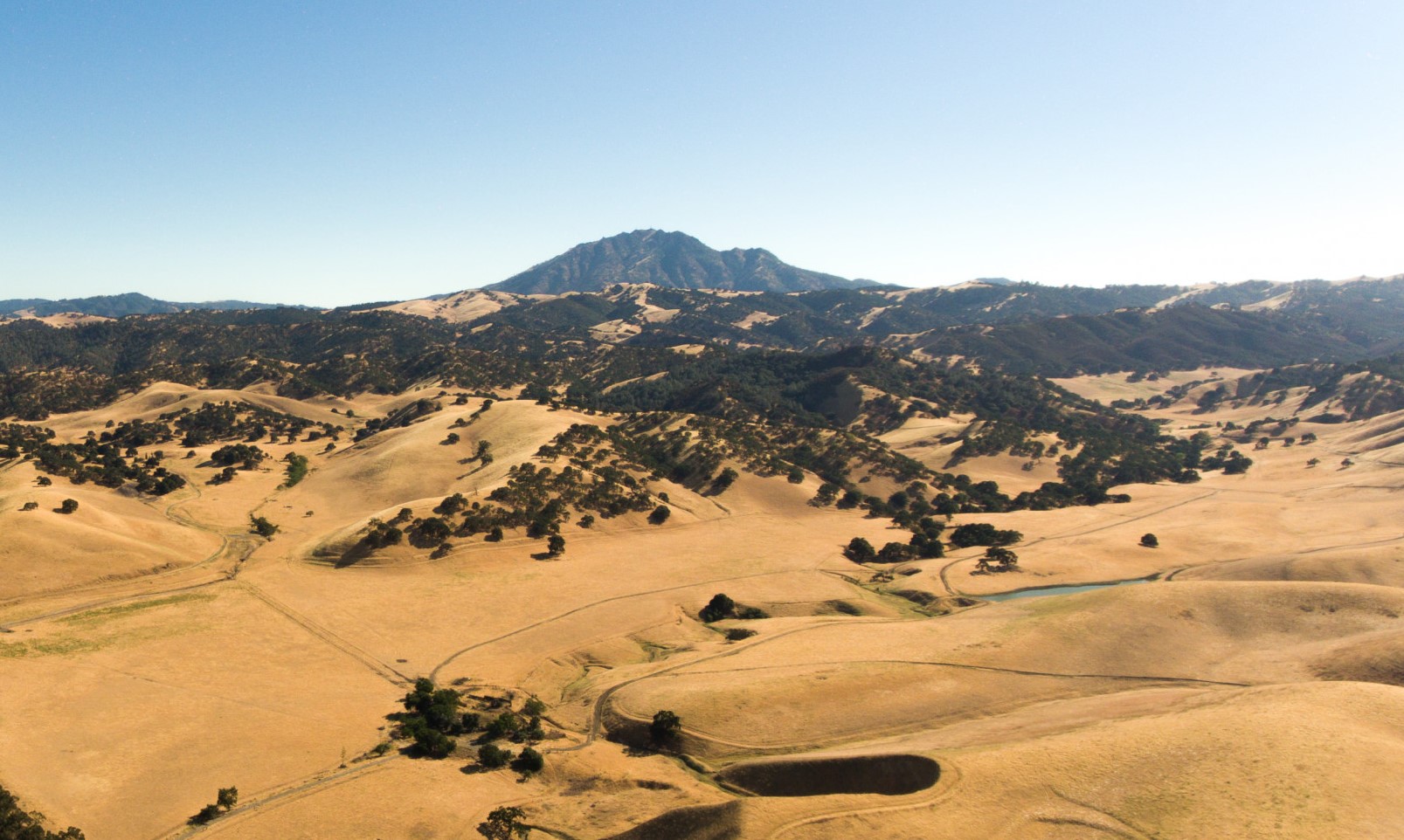 Mount Diablo and its foothills to the east