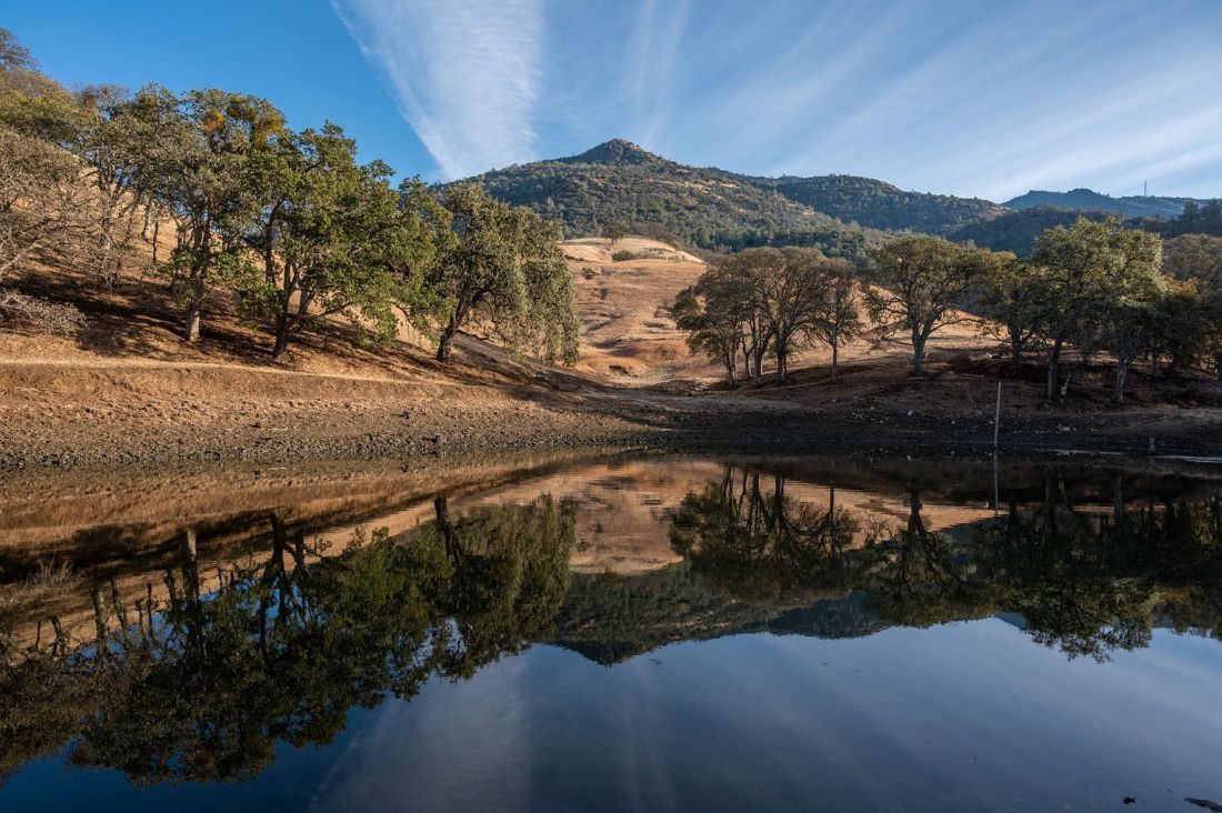 Krane Pond in November showing reflection of oak trees in water