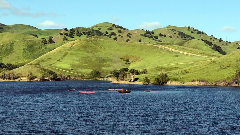 Contra-Loma-Regional-Park-and-reservoir-2-2023-04-19-Laura-Kindsvater