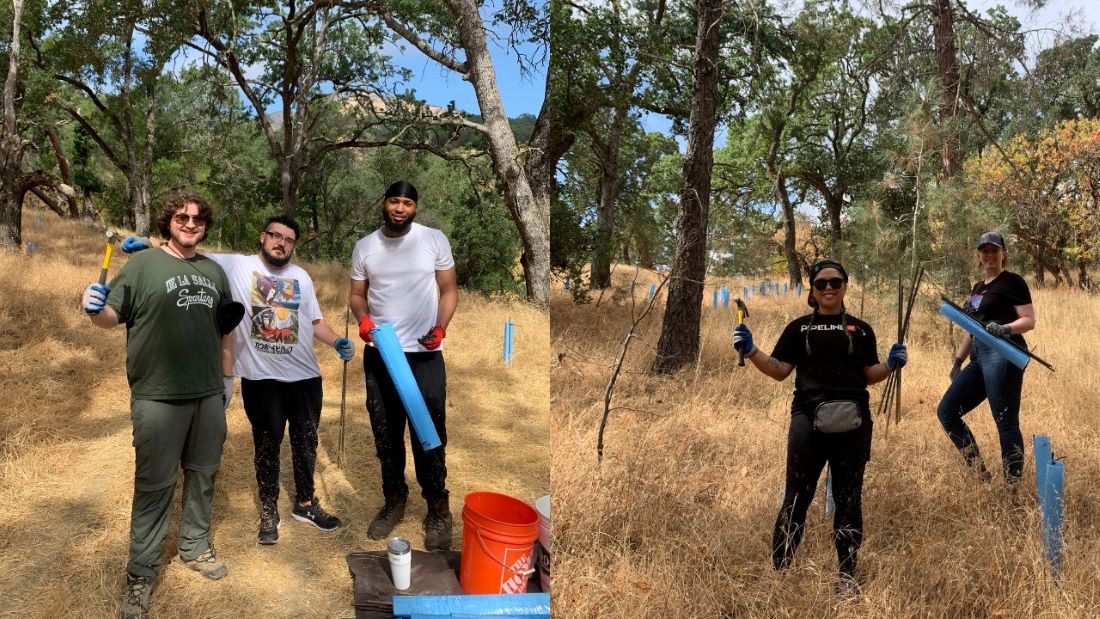 Innersense Organic Beauty volunteers protect trees at curry canyon ranch 