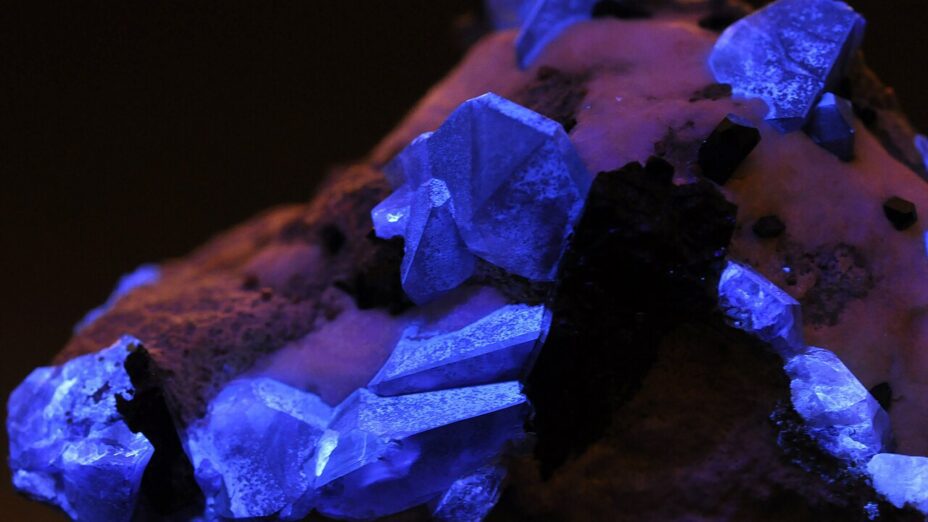 Benitoite crystals fluorescing under UV light.