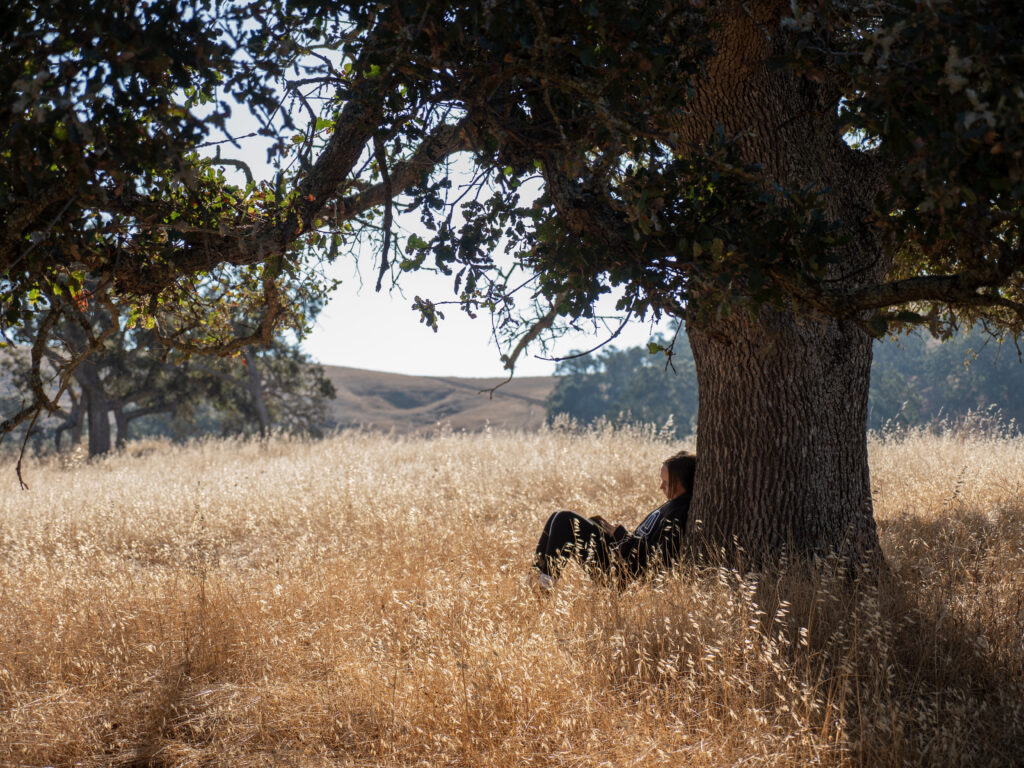 A Campolindo High School student reflecting and journaling at Mangini Ranch Educational Preserve under an oak tree.