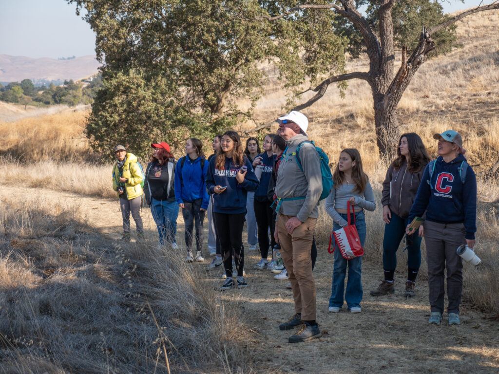 Campolindo High School students and Save Mount Diablo Executive Director, Ted Clement, admiring a nearby hawk in flight.