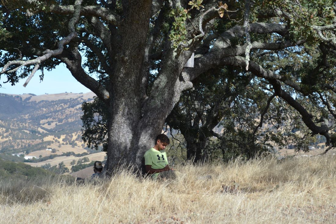 a youth journals under an oak tree at Curry Canyon Ranch