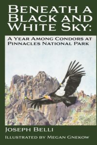 Beneath a Black and White Sky: A Year Among Condors at Pinnacles National Park