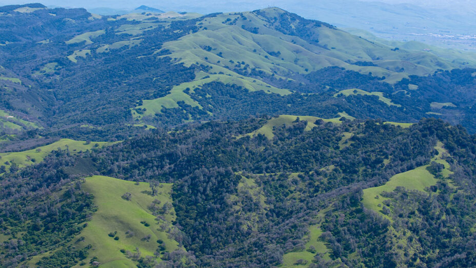 View of Highland Ridge and Mount Diablo State Park from the Grand Loop