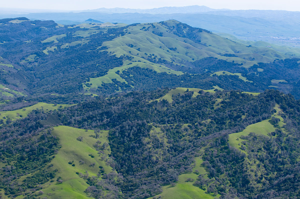 View of Highland Ridge and Mount Diablo State Park from the Grand Loop