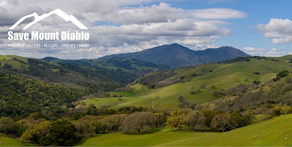 Nature Journaling: The Art of Observing Nature - Save Mount Diablo