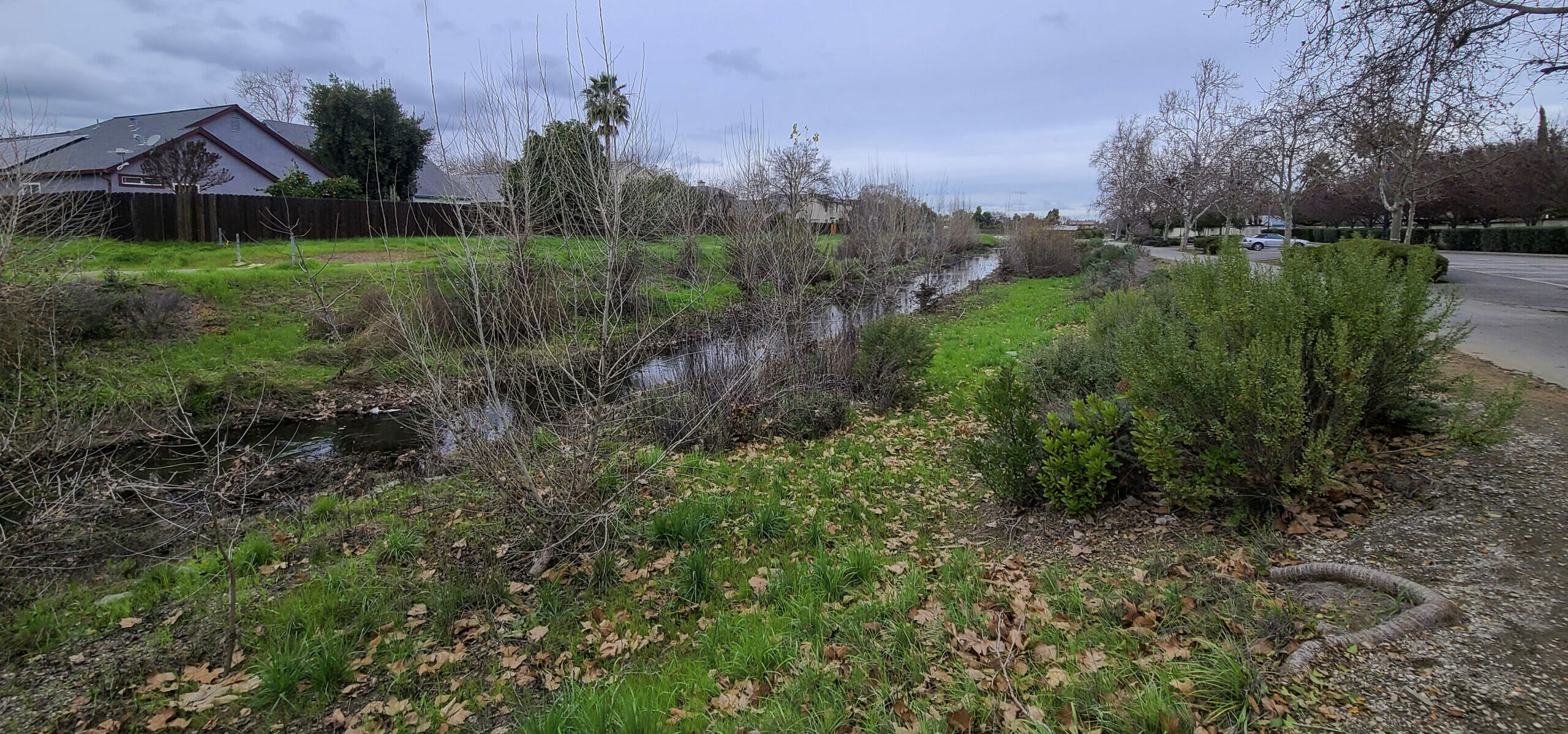 Overcast skies, a flowing creek and green vegetation.
