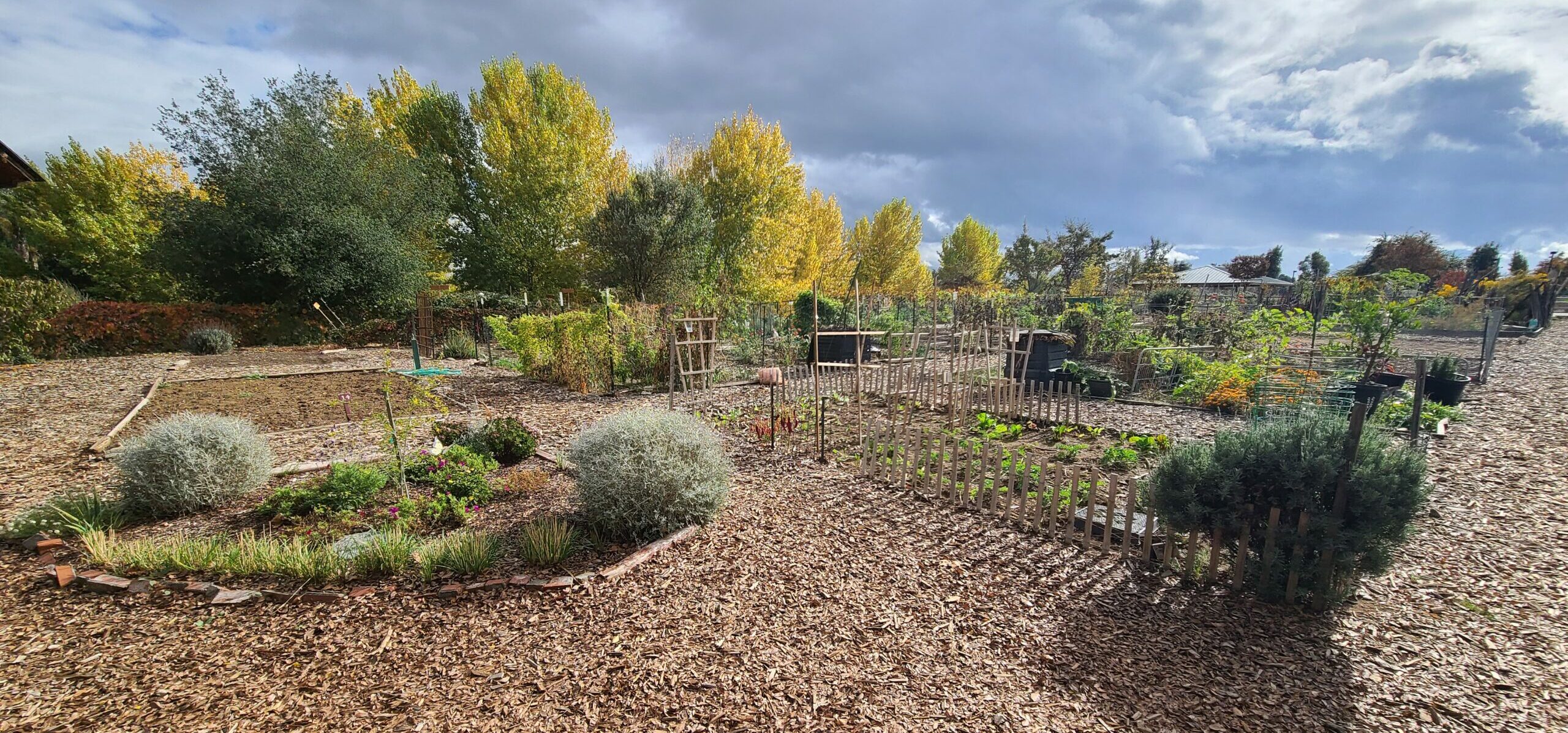 A community garden with beds and bark on a cloudy day.