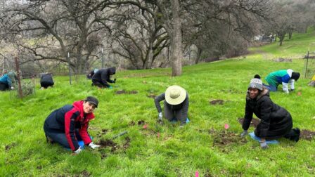 SMd staff planting native plants at Marsh Creek 7