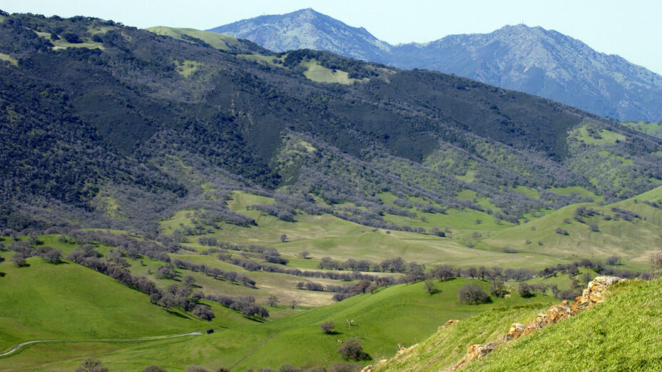 View of Round Valley Regional Preserve and Mount Diablo