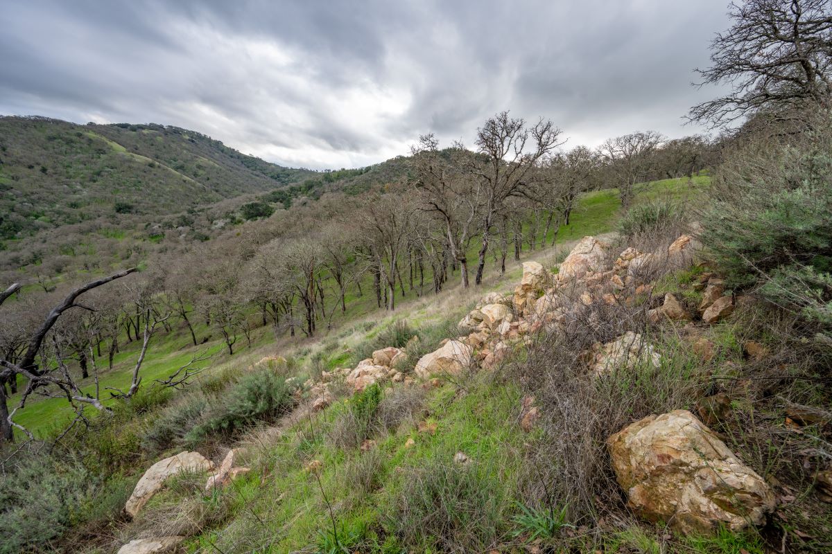 The Ginochio Schwendel Ranch