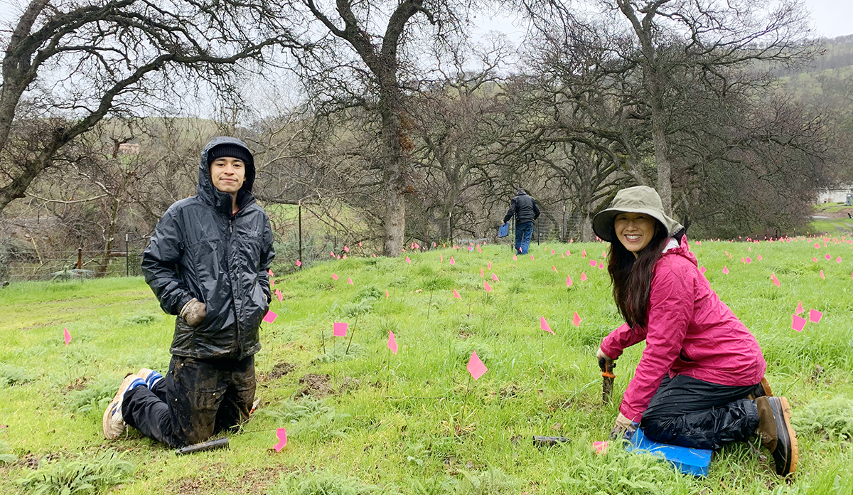 Diablo Restoration Team volunteers planting native plants at Marsh Creek 7