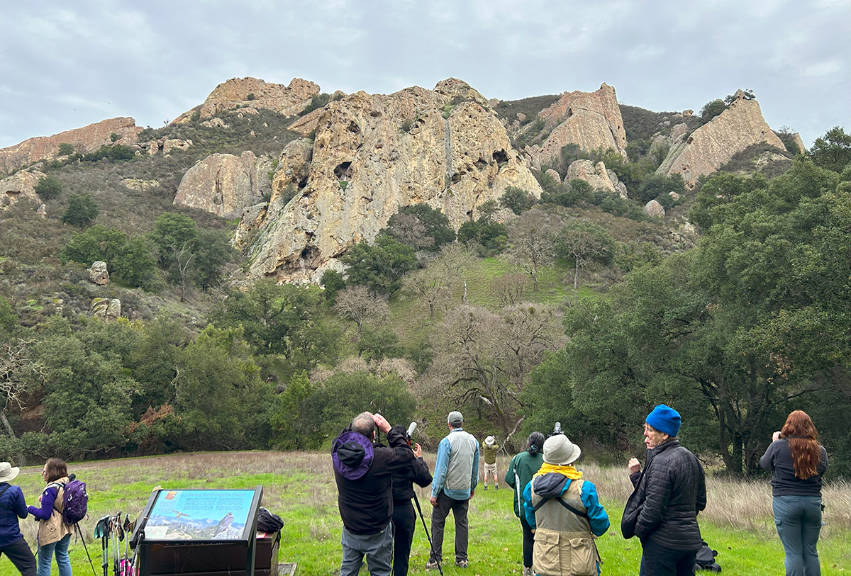 The Peregrine Team at Castle Rock watching for peregrine falcons