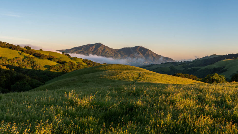 Late afternoon near Mount Diablo with rolling green hills in the foreground