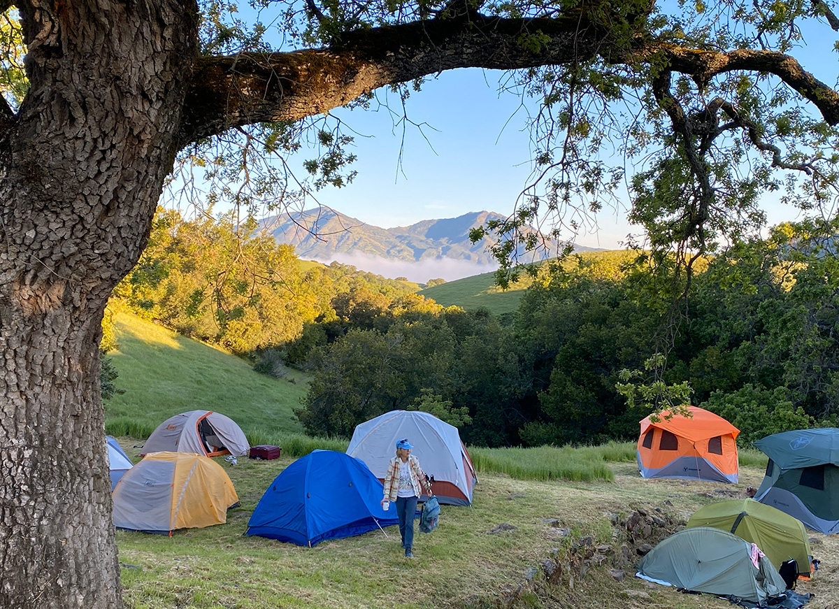 Four Days Diablo 2024 campsite with view of Mount Diablo