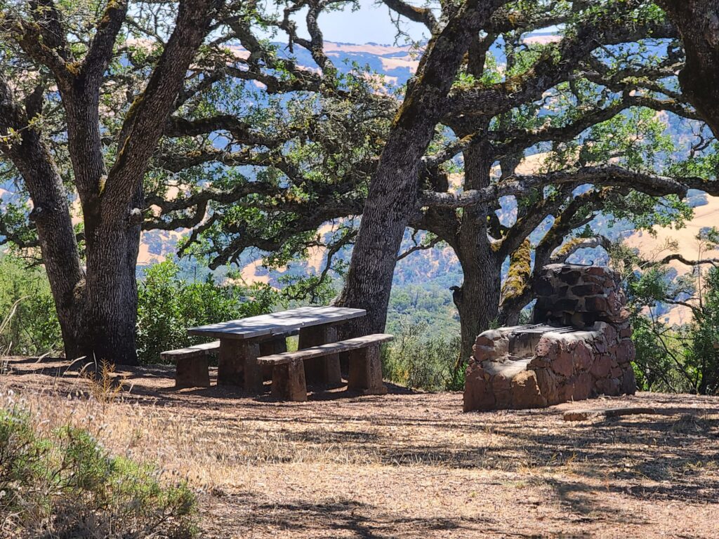 A picnic area at Mount Diablo State Park