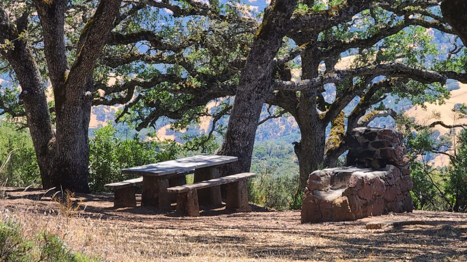 A picnic area at Mount Diablo State Park
