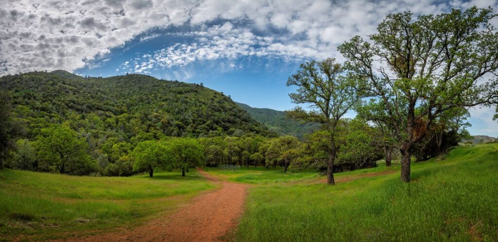 Concord Mt. Diablo Trail Ride Association