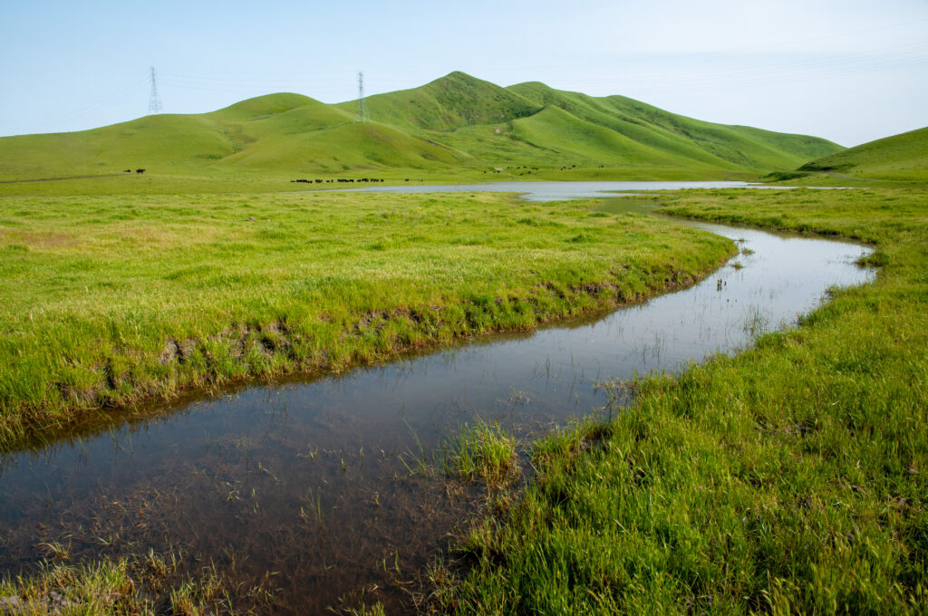 Cottonwood Creek runs through the green hills of the East Bay Regional Park District's Doolan Canyon Property.