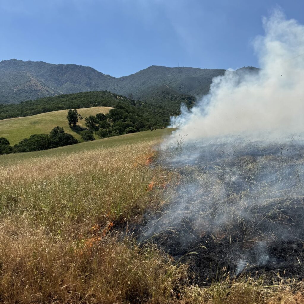 Prescribed fire at Mount Diablo State Park