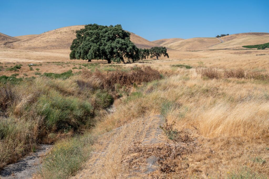 Cottonwood Creek Crosby Property Tour. Photo by Scott Hein