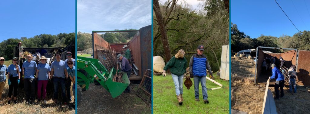 volunteers at work at Balcerzak!