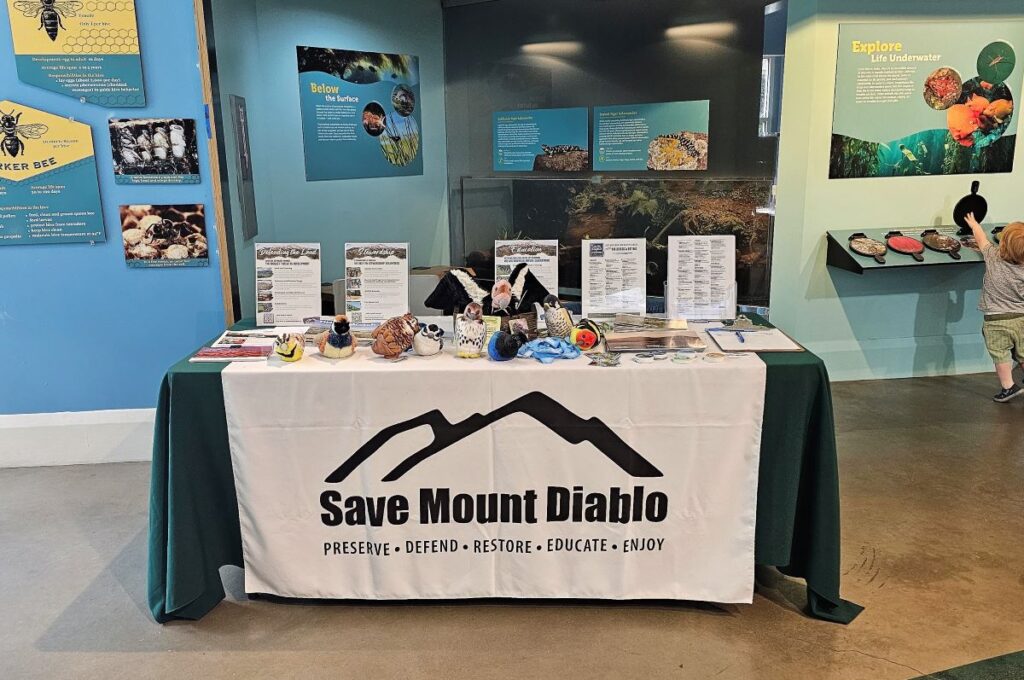 Save Mount Diablo table at Lord Richard’s Birthday.