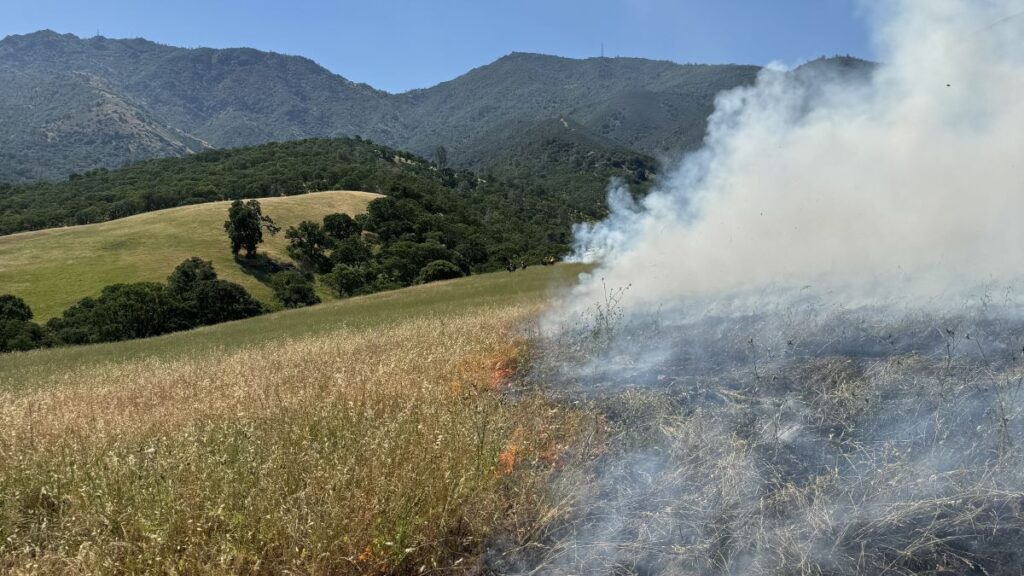 mitchell canyon controlled burn