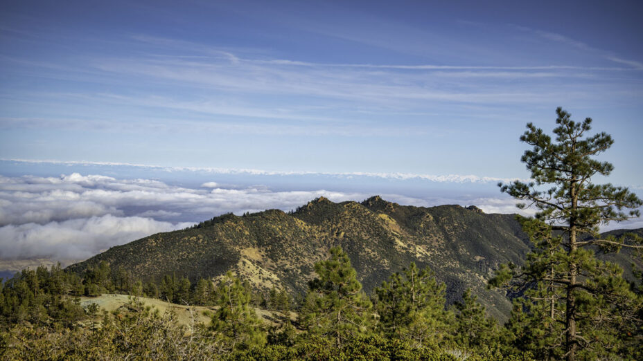 San Benito Mt. Expanse