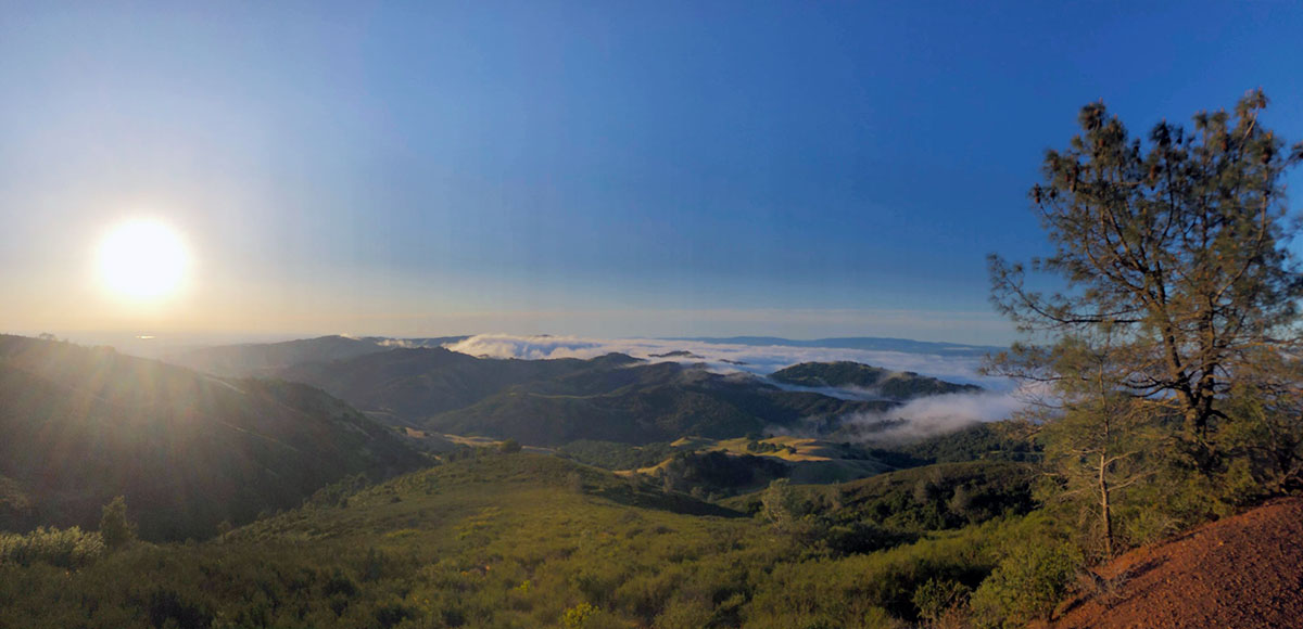 View from the Grand Loop in Mount Diablo State Park