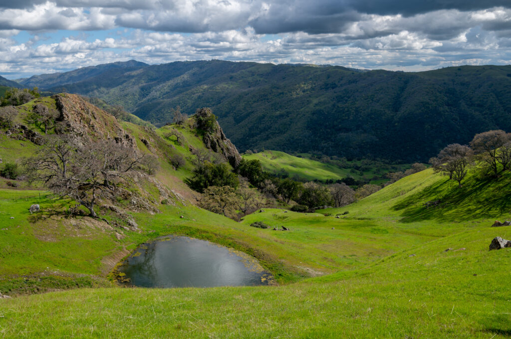 Ohlone Wilderness