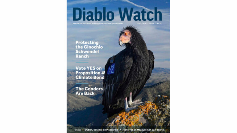 Diablo Watch fall edition front cover