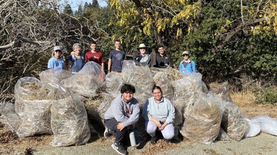 fifth annual pine canyon cleanup