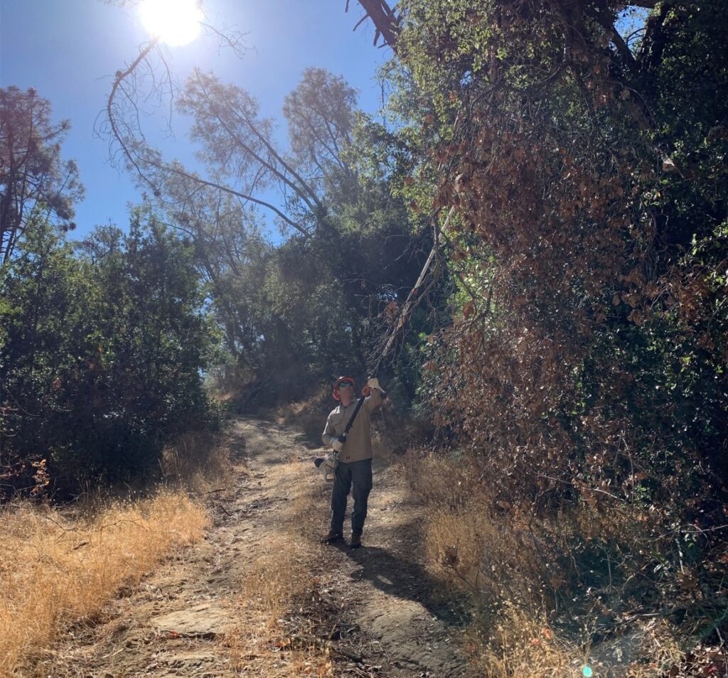 Staff pruning trees along a trail.