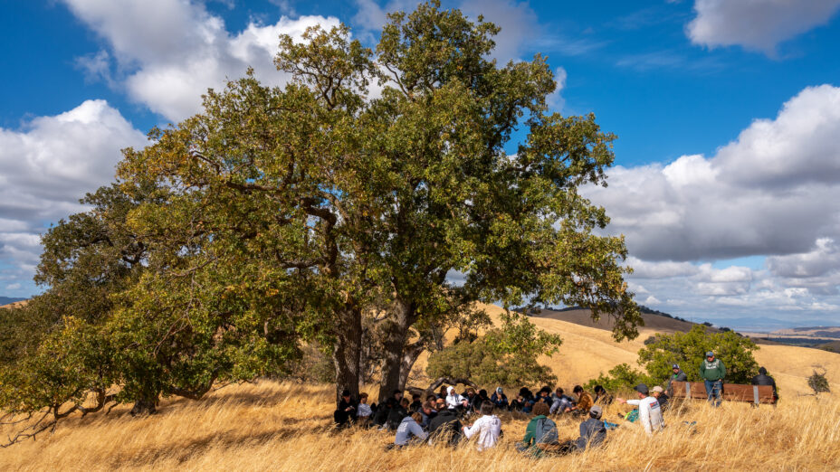 Diablo Conservation Experience