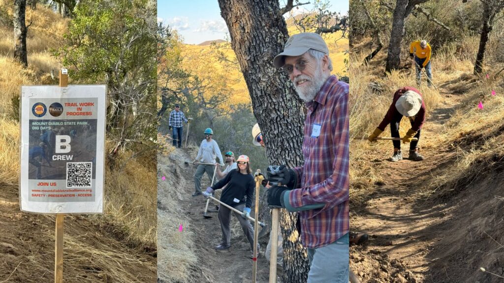 mount diablo trails alliance dig day