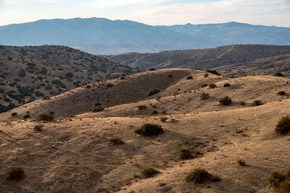 sunny Panoche landscape