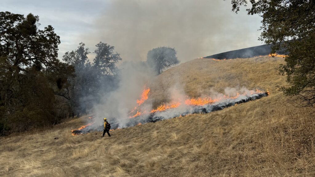 MDSP prescribed burn