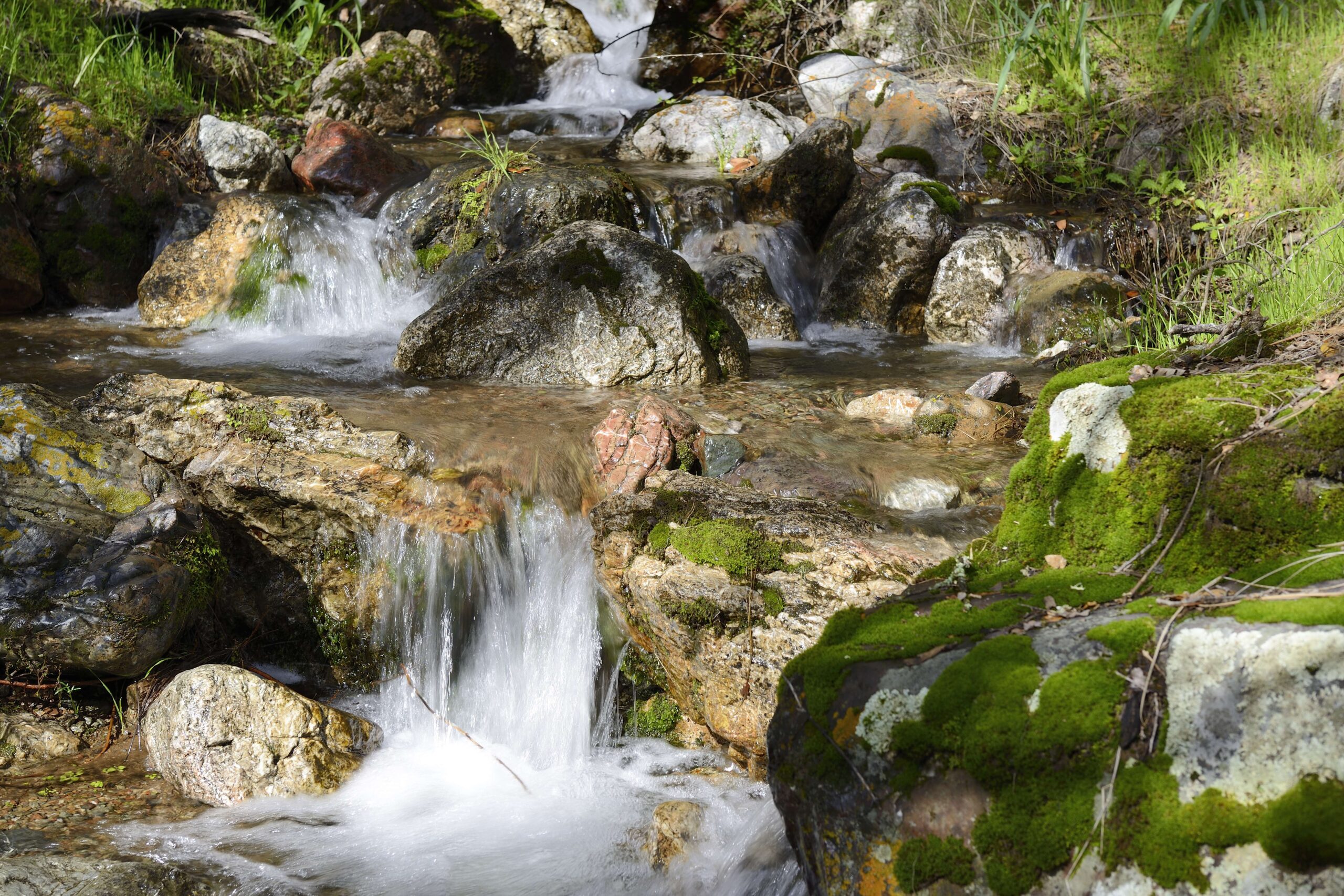 Perkins Canyon, Mt. Diablo State Park, CA Feb. 11, 2015