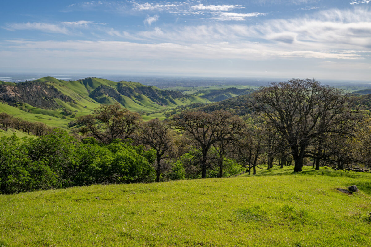 Upper Thomas Ranch