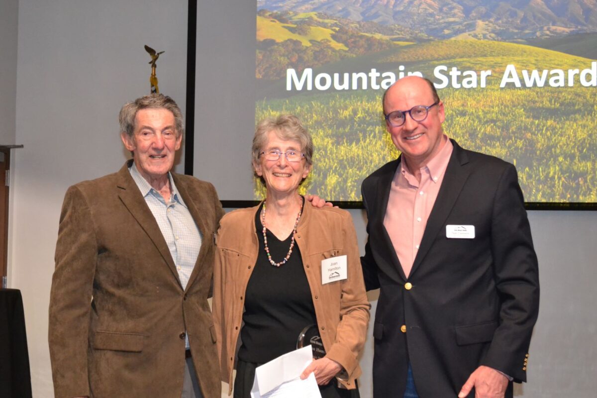 joan hamilton receives mountain star award