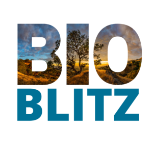 BioBlitz evergreen logo