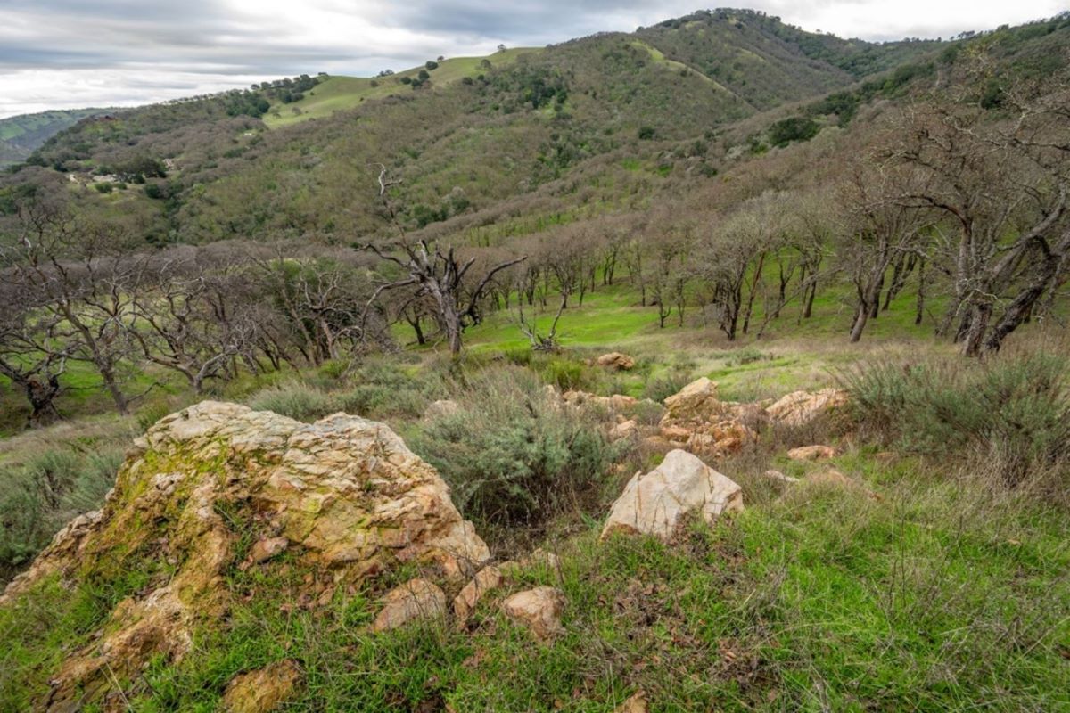 the ginochio schwendel ranch contains rare volcanic domes