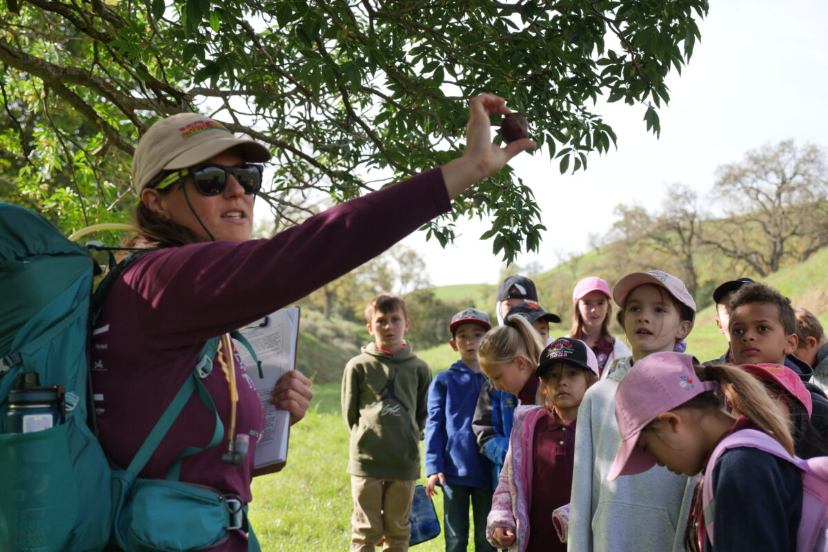 young diablo explorers at mangini preserve