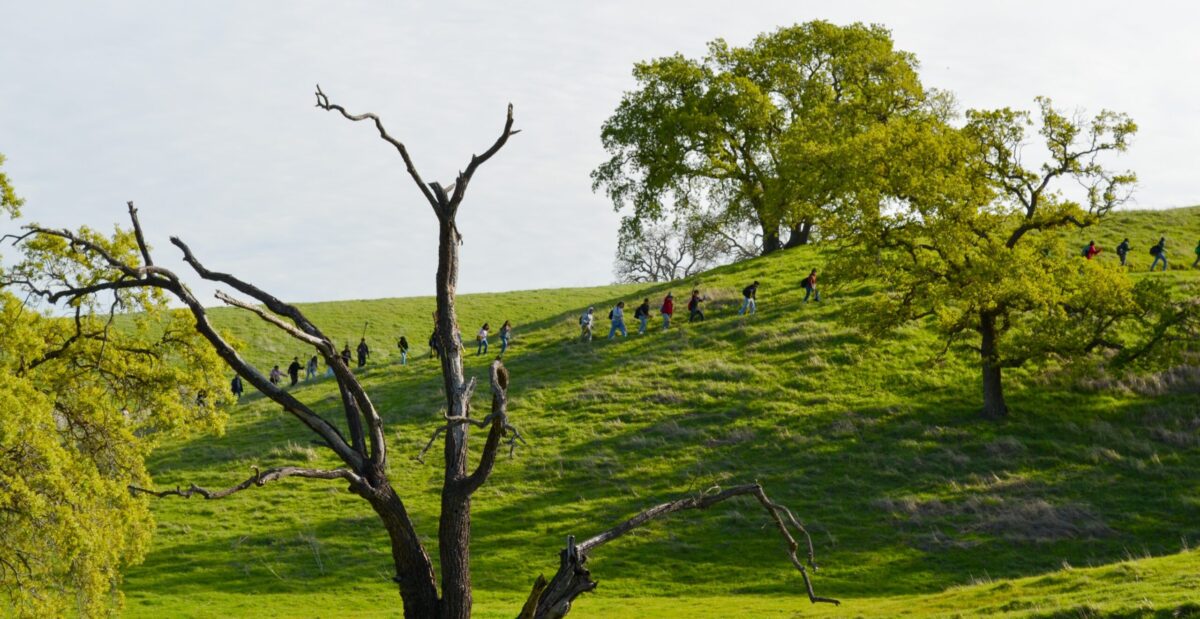 Diablo Conservation Experience at Mangini Preserve