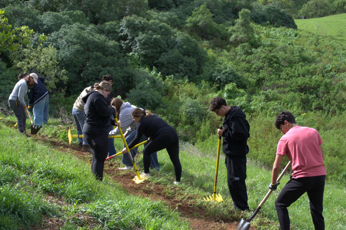 trail work