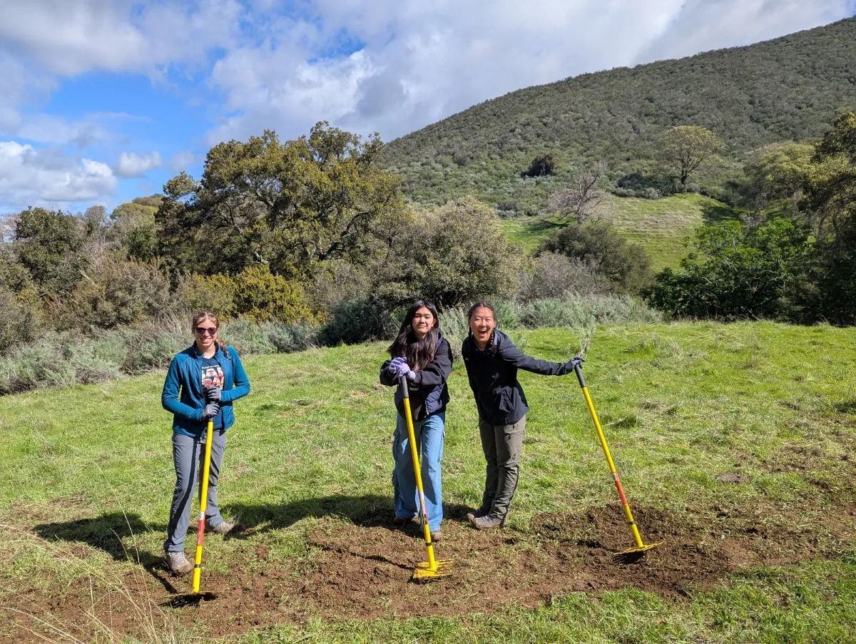 Athenian School trail workday at Mangini Preserve